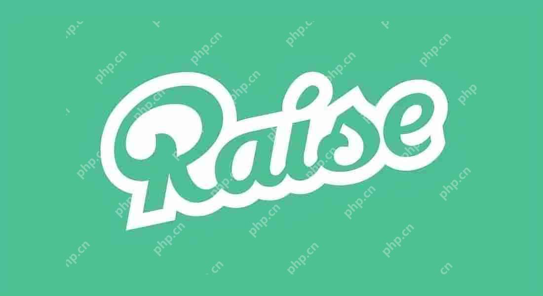 Raise是什么项目？Raise融资、发展历程、盛业模式解读